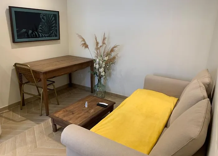 Chez Marie - Centre - Parking Prive - Hospices Отель типа 